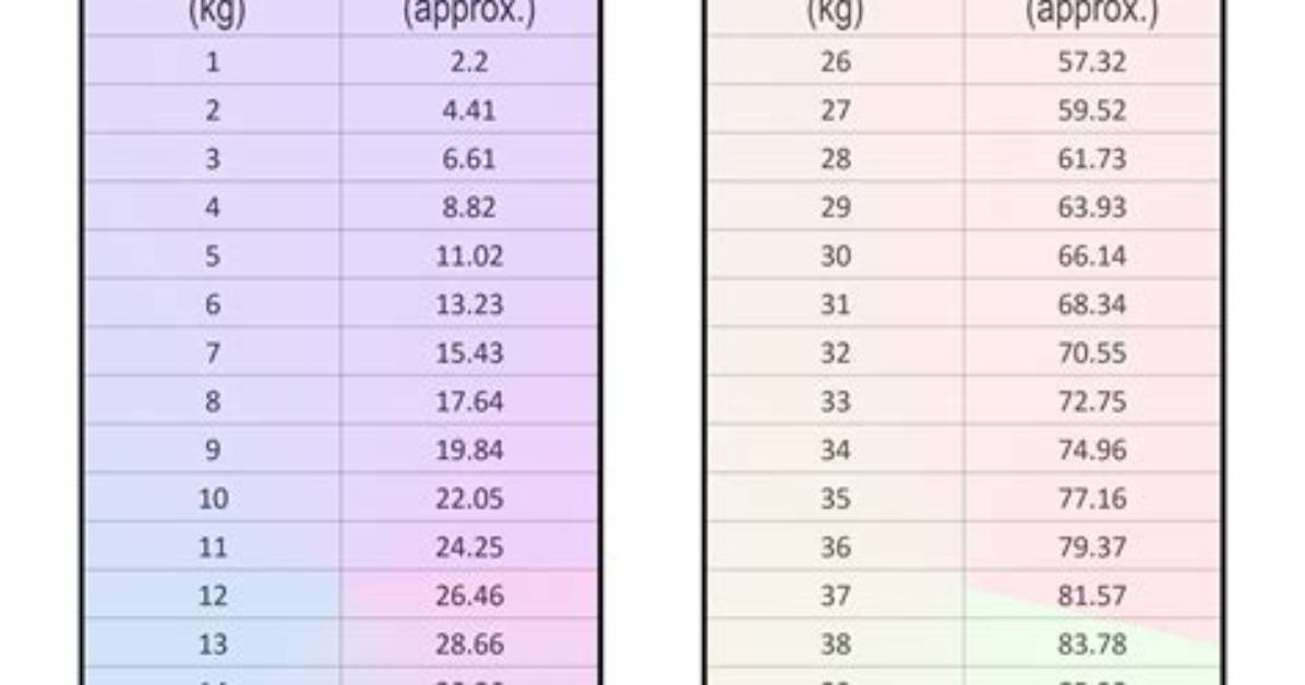 67 5 Kg to Lbs Visualized the True Scale of 148 81 Pounds on The