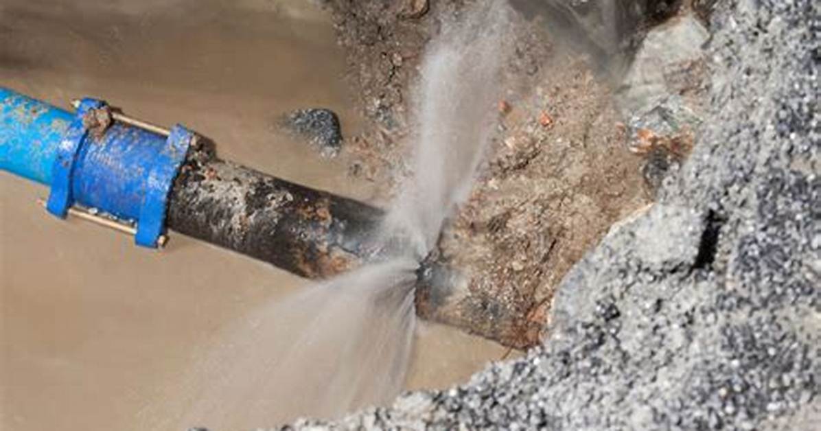 A Leaking Pipe and 22 000 Hours of Video Why Bears Wake Up