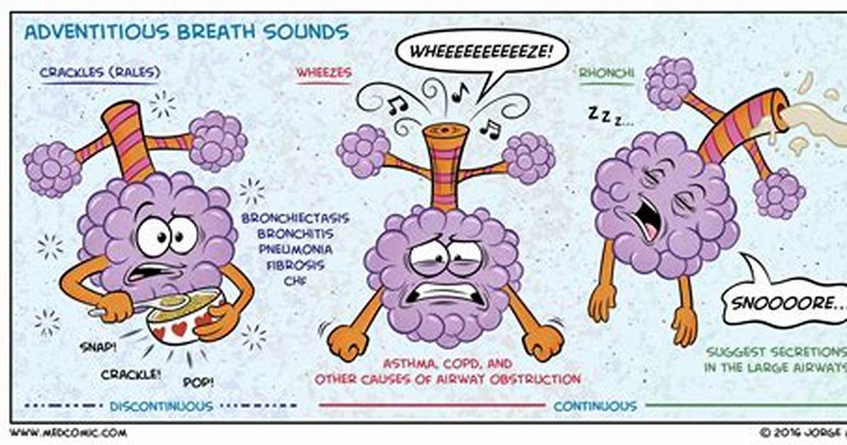 Acoustic Proof Visualizing Rales Breath Sounds and Deep Learning