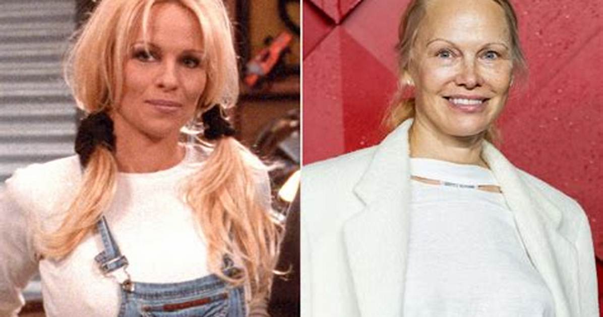 Actors of Tool Time Then and Now Side by Side Transformations