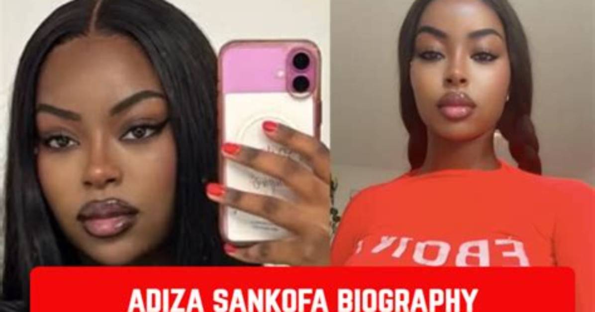 Adiza Sankofa Trending Drama Complete Timeline of the Viral