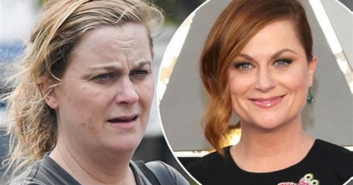 All Grown up Amy Poehler Makes Rare Appearance with Sons On