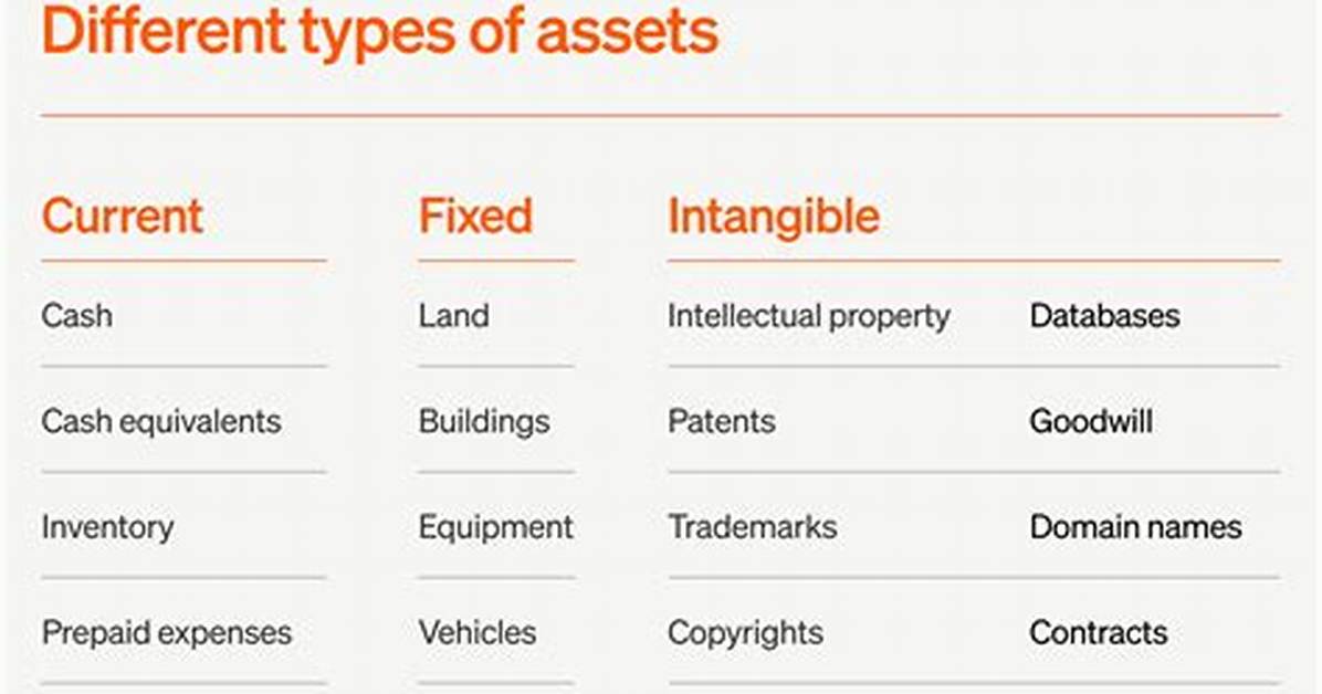 Are You Just an Asset The