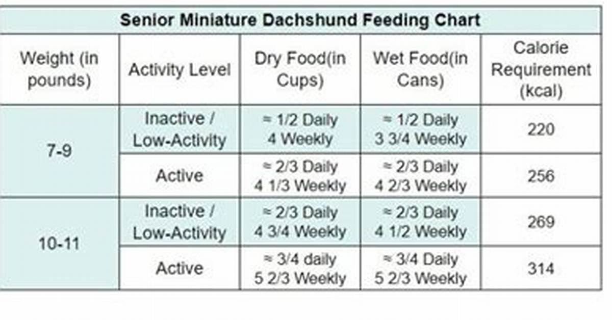 Average Weight for Miniature Dachshunds Complete Diet And
