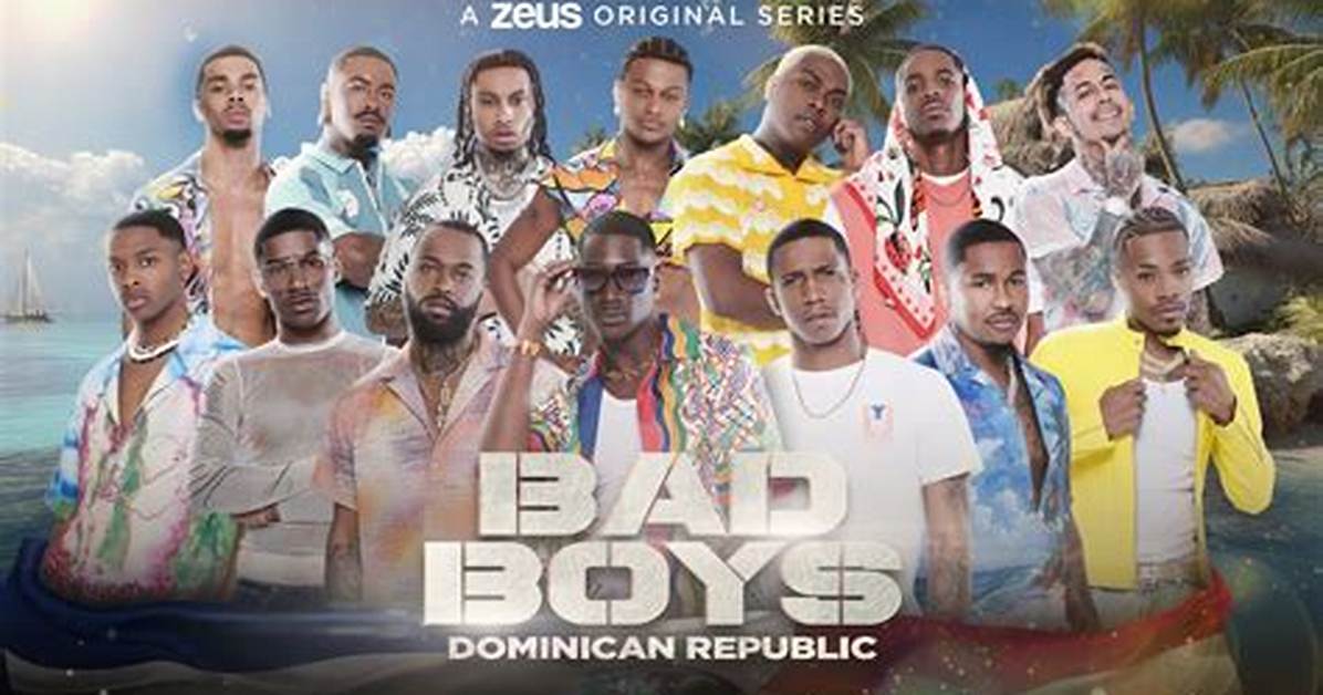 Bad Boys Dr Viewer Guide Cast Roster Streaming Apps And