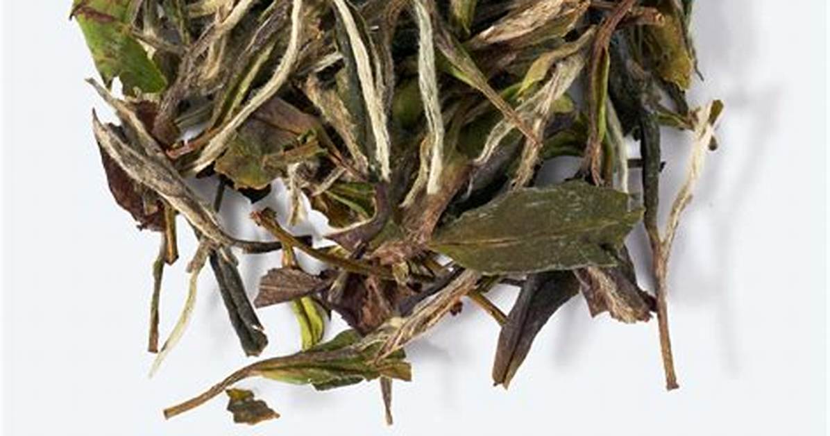 Bai Mu You Jitohebiroteshon Wan Quan Gong Lue Fanga Qininaru Yi Wento Yi Huawo Quan Jie
