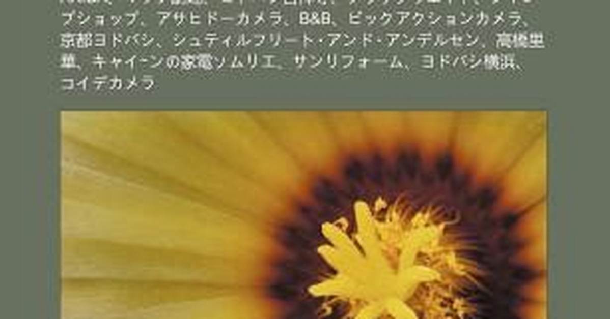 Bikkukamera Chi Dai Ben Dianno Jiandokoroha Ti Yan Xing Zhan Shito3Dfotono Xian Changwo Che Di