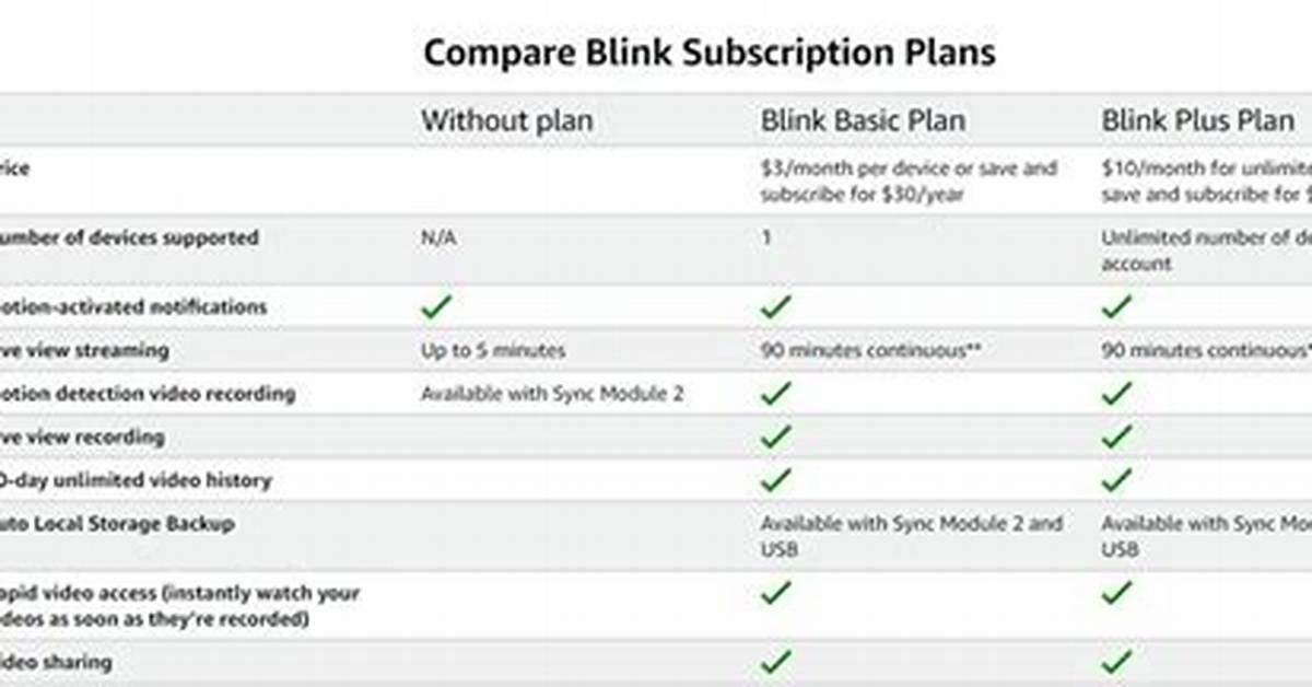 Blink Subscription Plans Explained Pricing New Ai Features And