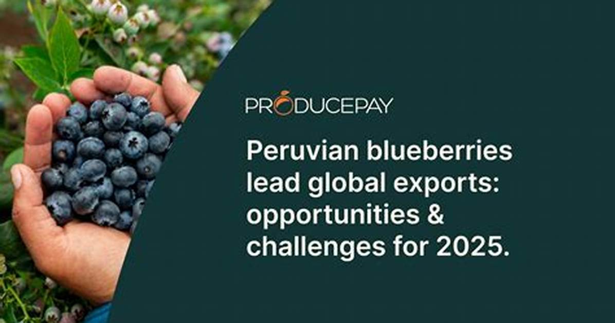 Blueberry En Espanol Alert Supply Timeline Peru Shortages And