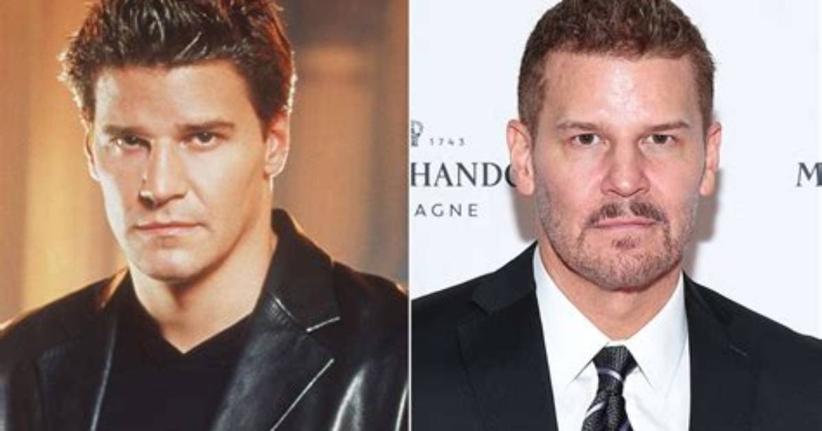Booth vs Sully Did David Boreanaz and Eddie Mcclintock Clash Behind The