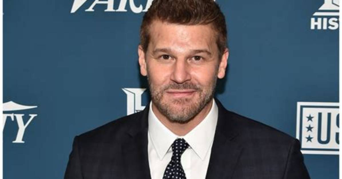 Breaking Down David Boreanaz S Real Net Worth Tv Salaries Royalties And