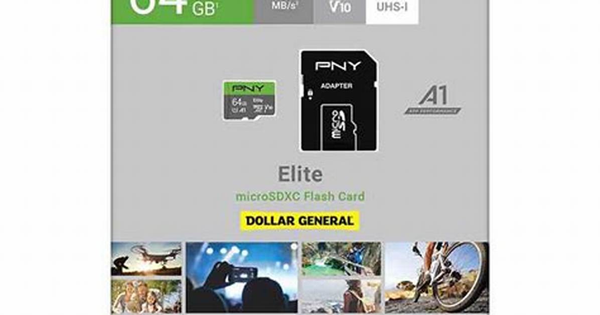 Buying Memory Cards at Dollar General the Complete Device and Price