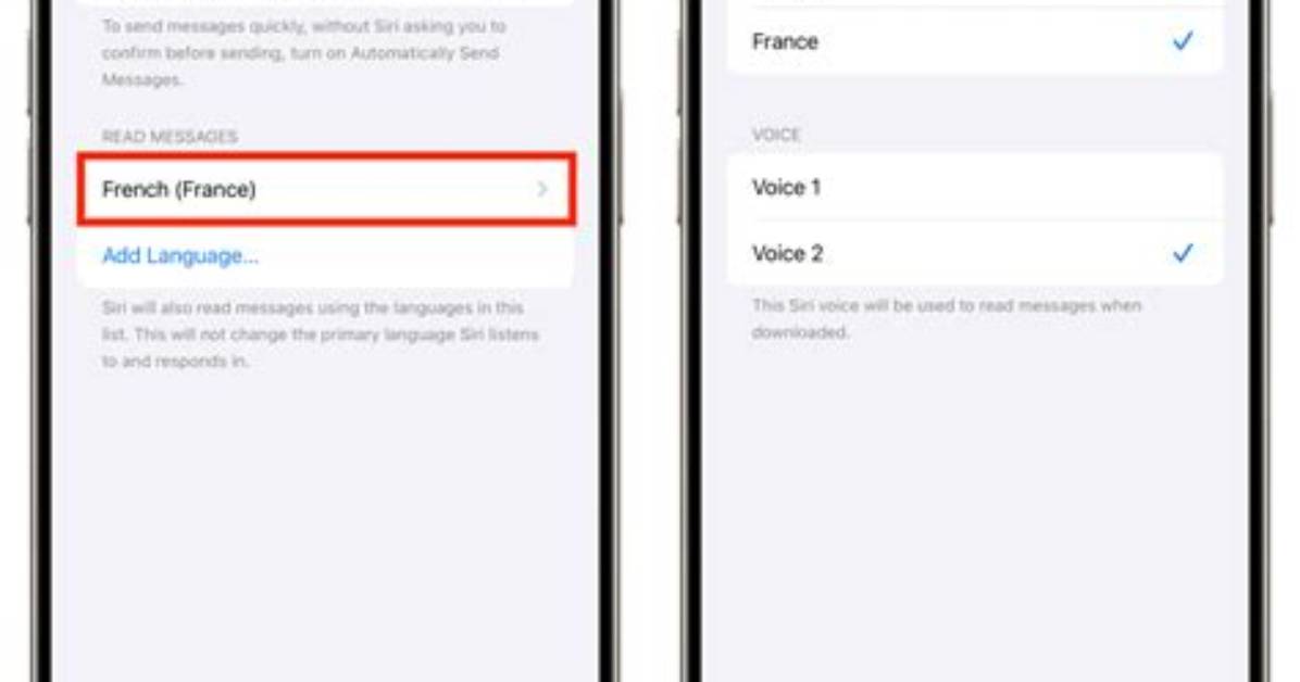 Can Apple Really Read Your Texts What Encrypted Imessage