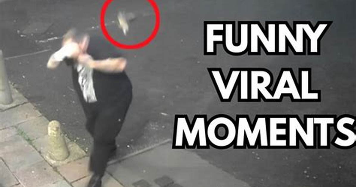 Caught on Camera Inside the Viral