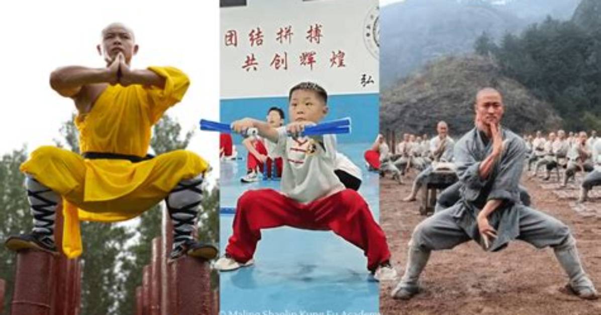 Chimurabo Ma Bu Taihiruzuno Xin Zuohadokoga Qii Guangno Diao Keto Xineriano Quan Mao Che Di Jie