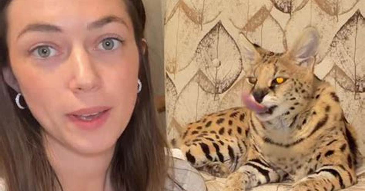 Chloe Amau Viral Trend Fact Check Real Creator Footage Or