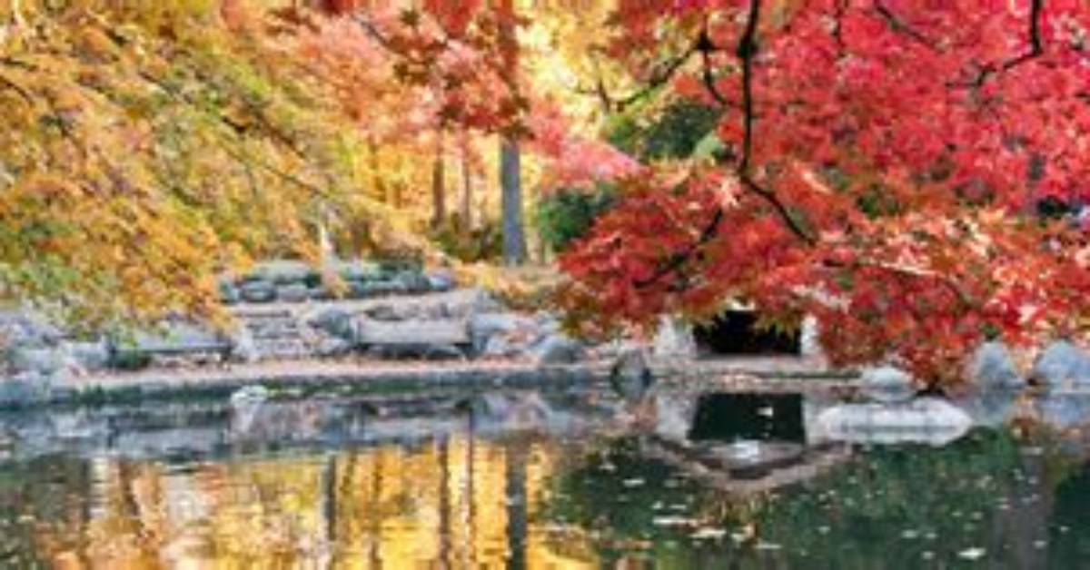 Clear Waters and Shaded Trails Inside Lithia Springs Park S