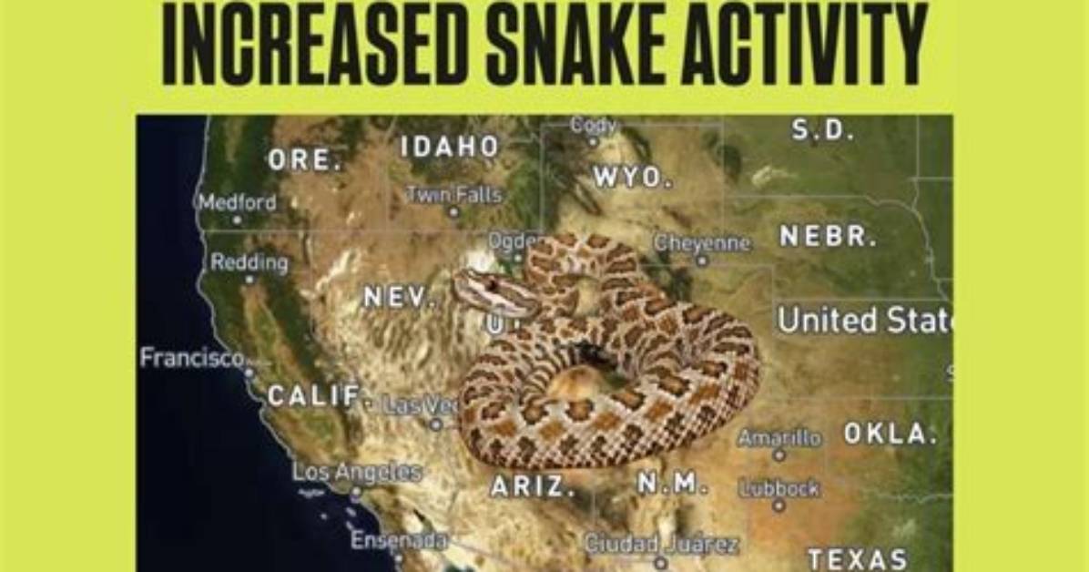 Crystal Cove Rattlesnake Surge Timeline of Multiple Shoreline Sightings In