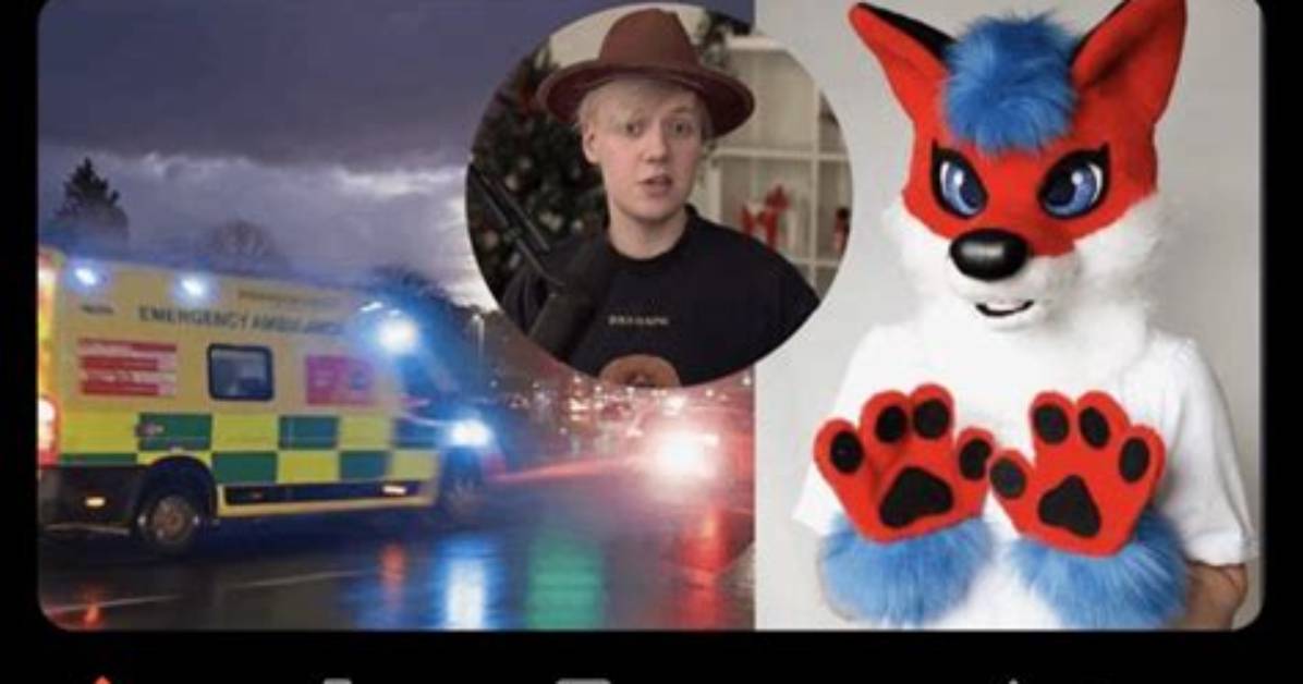 Cursed Furry Media Explained Inside the Jokes Subcultures And