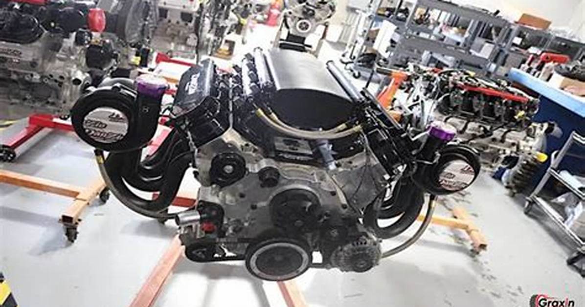 Danzi Engine Scat Fact Check Separating Viral Lore from Real