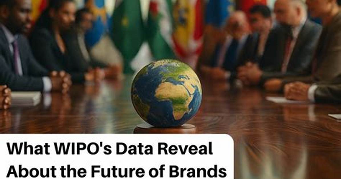 Data Behind the Boom How Brands Are Scaling Sales with Tiktok Shop and Ai