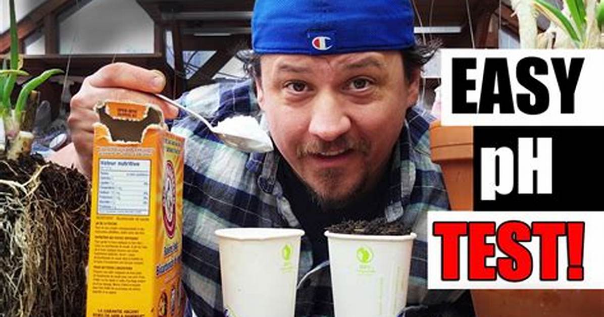 Debunking Diy Soil Ph Hacks What Works and What Gives
