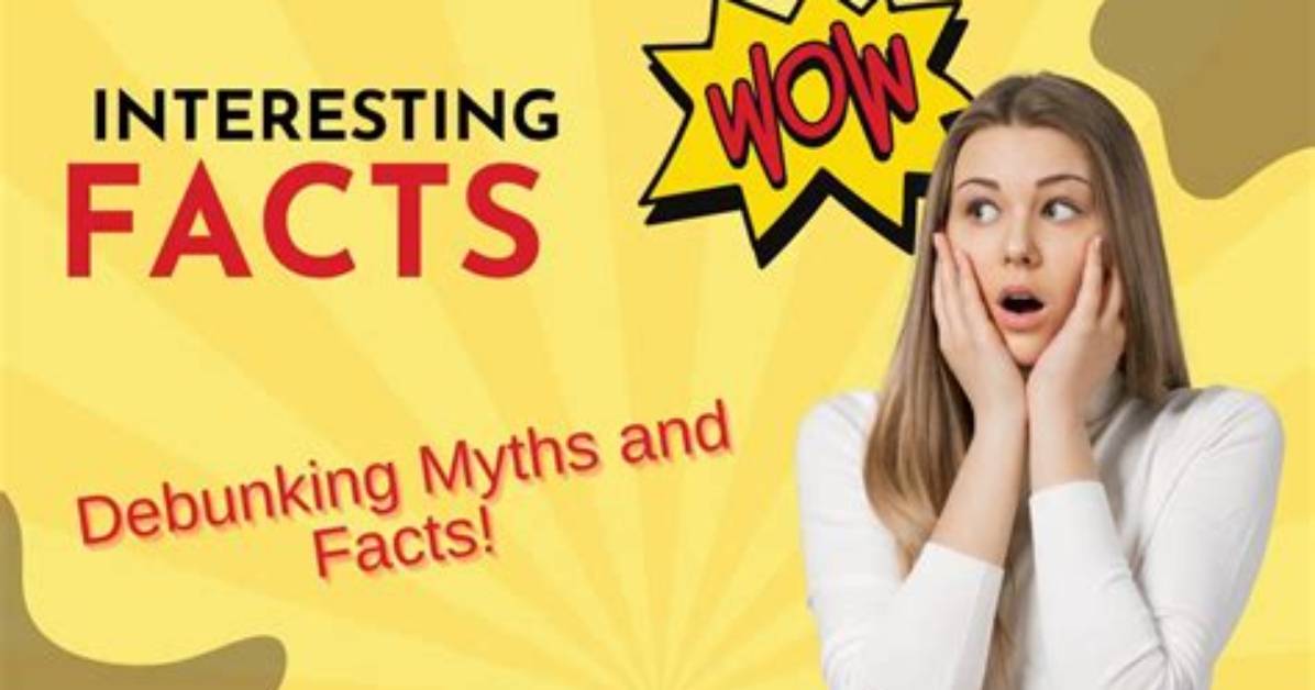 Debunking the Rumors the Truth Behind