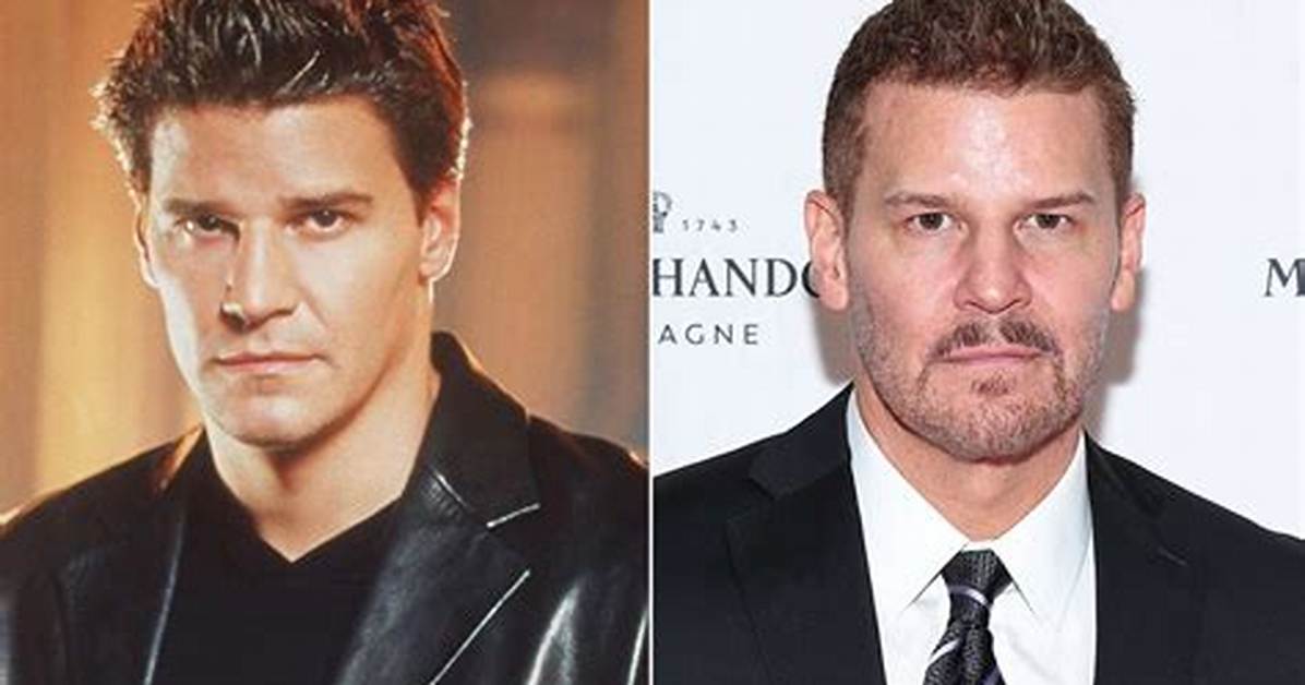 Did David Boreanaz Ever Serve in the Military the Truth Behind the Seal