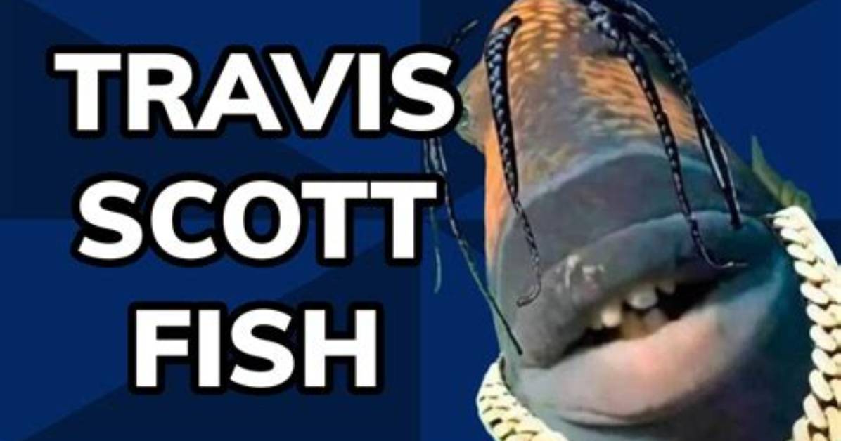 Did Travis Scott Acknowledge the Fish Meme Fact Checking The