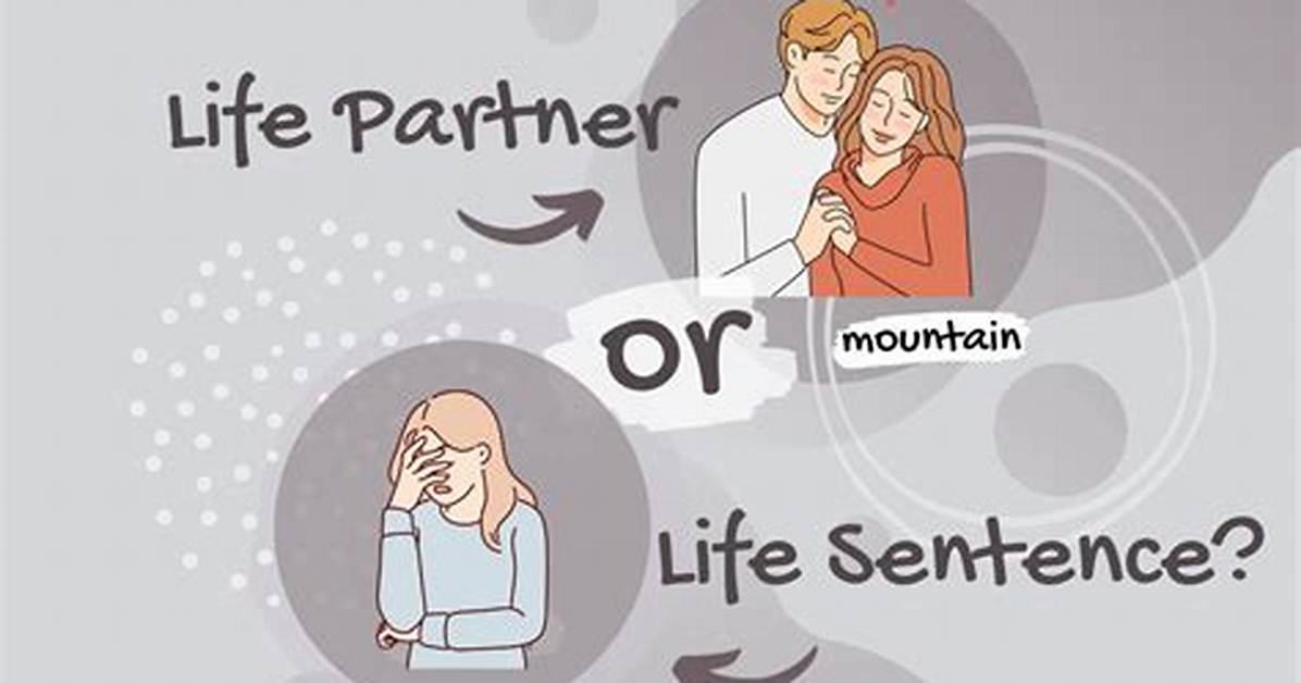 Discover the Life Partner Of