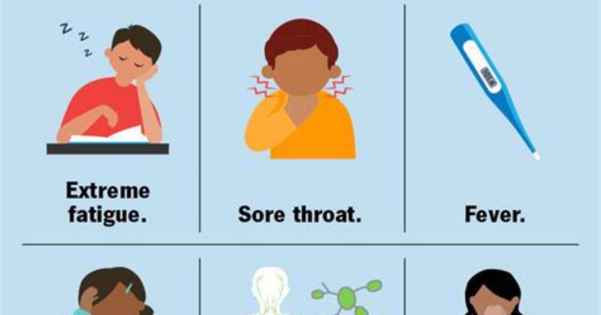 Do You Have Mono a Clinical Checklist Self Screening and Doctor