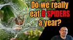 Do You Really Eat 8 Spiders a Year in Your Sleep? the Shocking Truth Behind the Lie