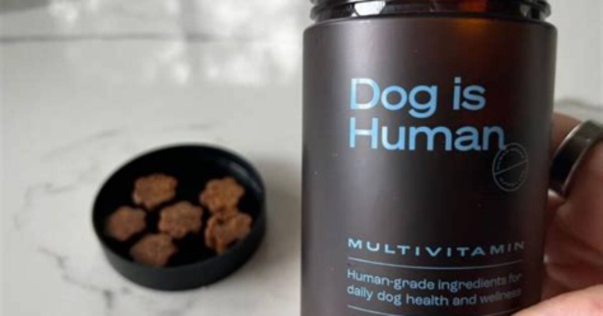 Dog Is Human Multivitamin Review Does This All in One Chew