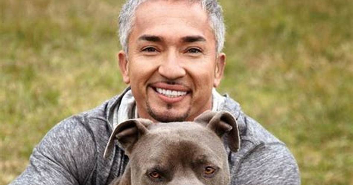 Dog Whisperer Tragedy Fact Check Debunking Viral Claims and Lethal