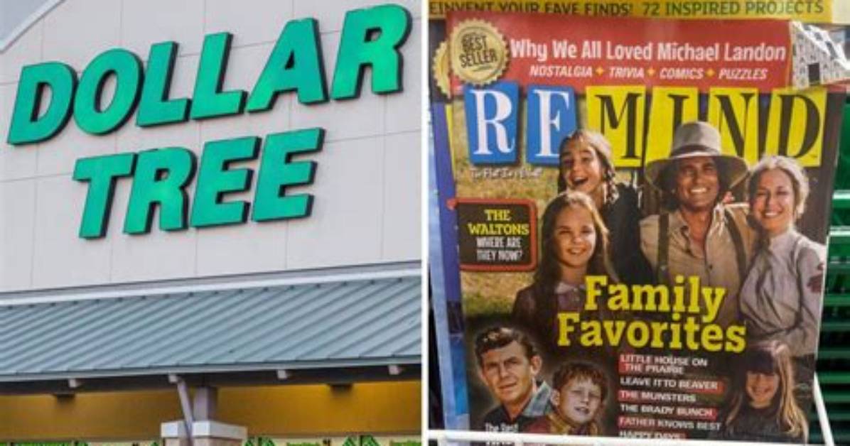 Dollar Tree S Viral 1 50 Hydrangea Dinnerware Is Causing Chaos In