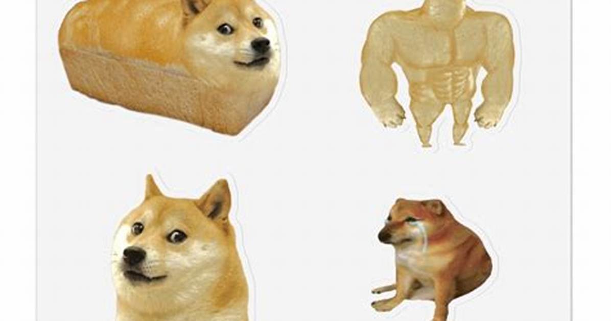 Doragonfurutsuha Chito Baidotchiga Gani Mei Weishii Shibe Fangto Wan Shuno Jian Fenke Fangwo Che Di Bi