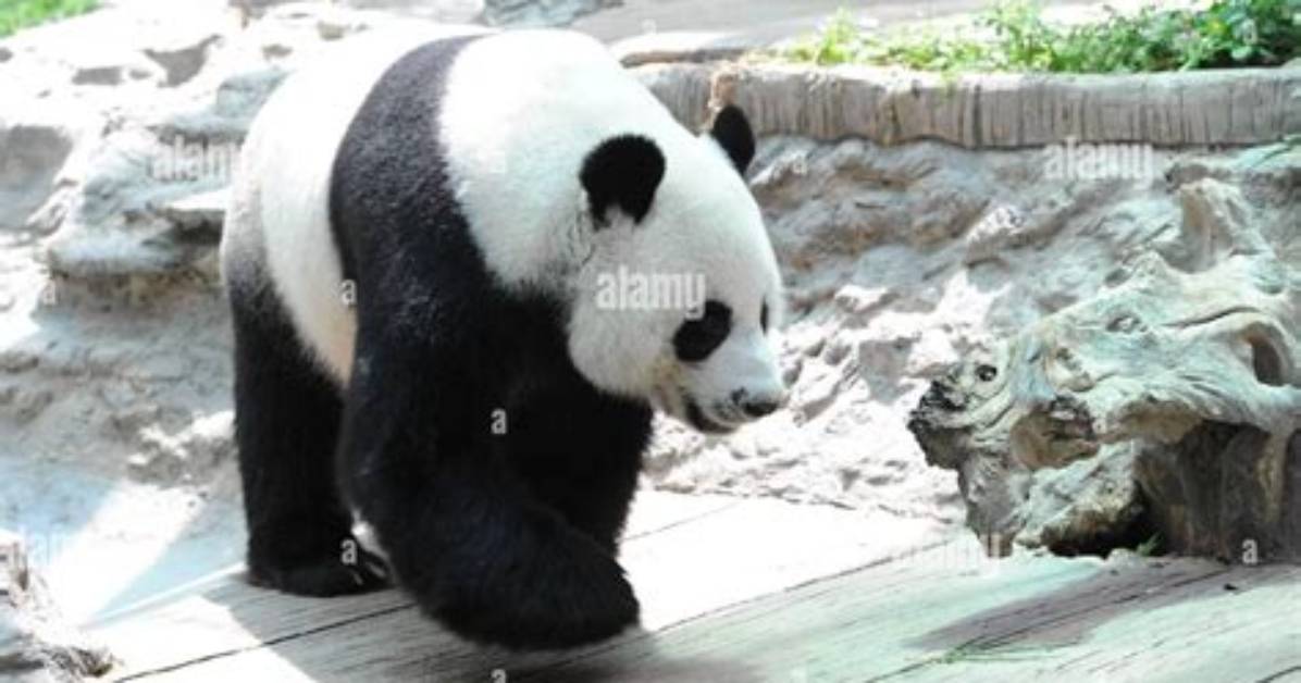 Du Mai Li Gongno Lin Chuang Gong Xue Kega Qiangi Li Youha Zui Xin Yi Liao Ji Qino Shi Xi Huan Jingto Shi Jiwo Che Di