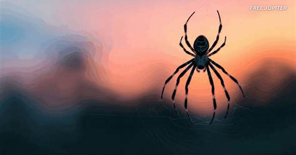 Everything Science Got Wrong About Spiders the Evolution Of