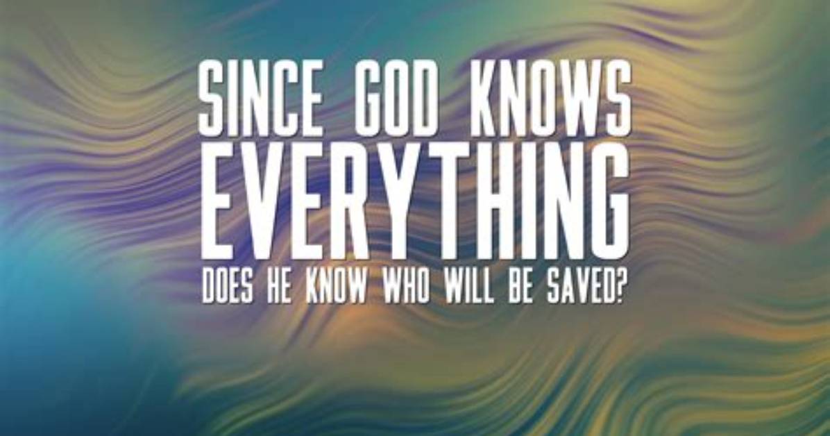 Everything to Know About The