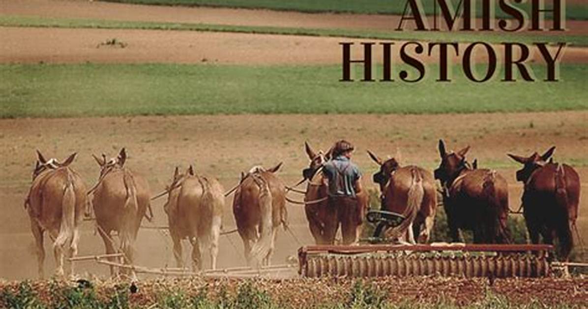 Everything You Need to Know About Amish Stud the Eli Weaver Story On