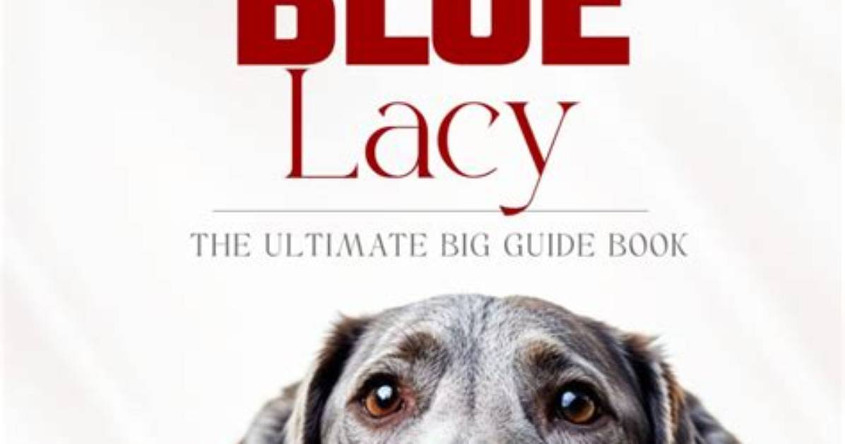 Everything You Need to Know About Lacy S Leg Injury Details Cause And