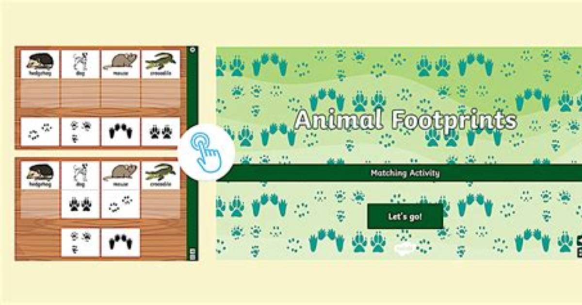 Exposing Ccabots Thothub Activity What Technical Footprints and Scripts