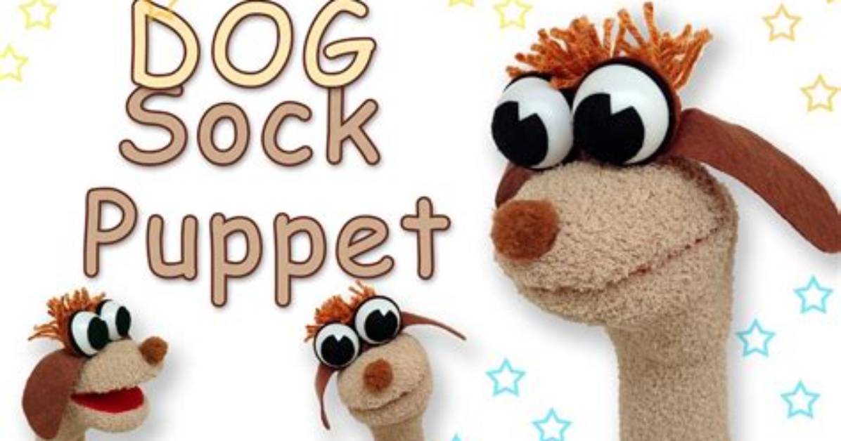 Fact Check Is the Sock Puppet Dog Real or Just Clever
