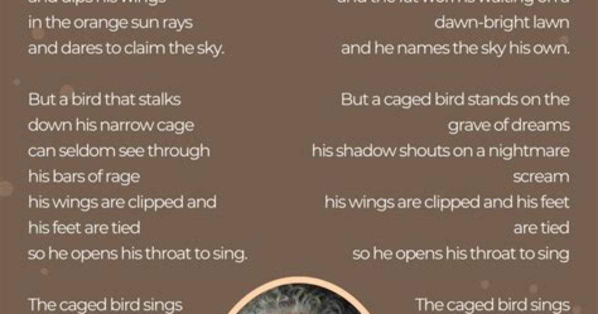 Fact Check Maya Angelou Poem or Modern Song Untangling the Phenomenal Black