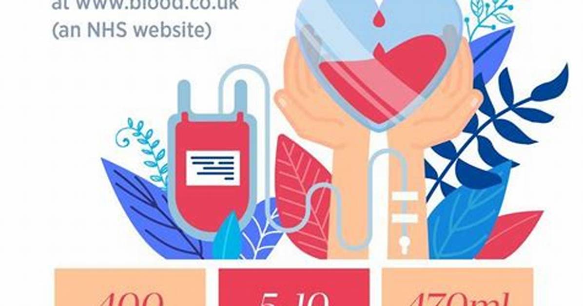 Fact Checking Blood Donation Medical Truths Safety Standards and Health