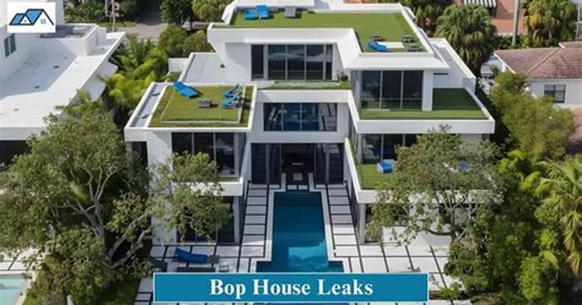 Fact Checking the Bop House Leaked Rumors Clickbait Traps Vs