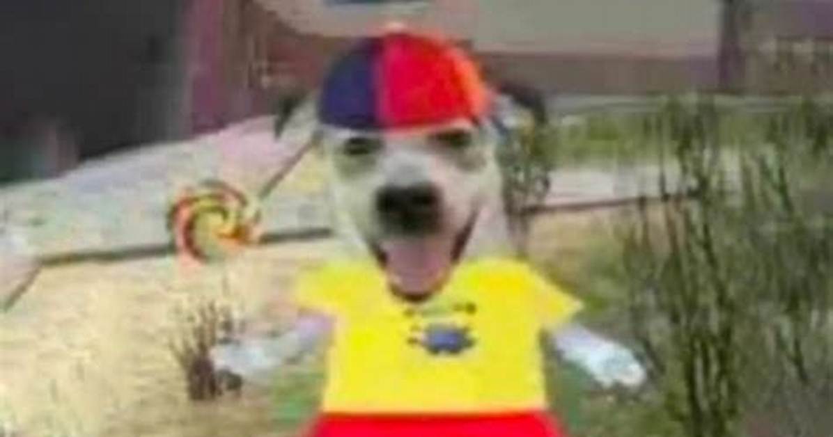 Fact Checking the Dog with Lollipop Meme Real Canine Photo or Ai