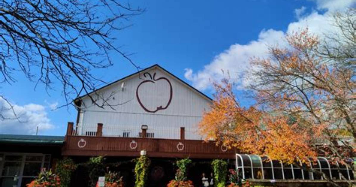 Fact Checking White House Fruit Farm Separating Recent Legal Reports from Daily