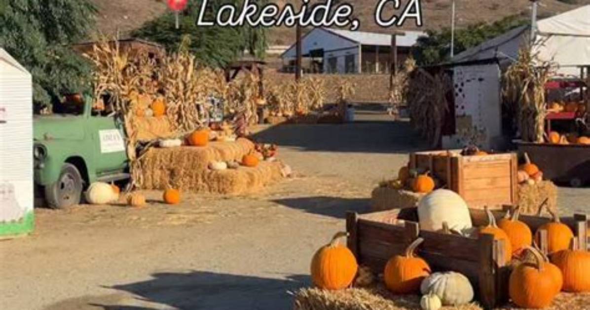 Fall Season Kickoff Oma S Pumpkin Patch Confirms Official