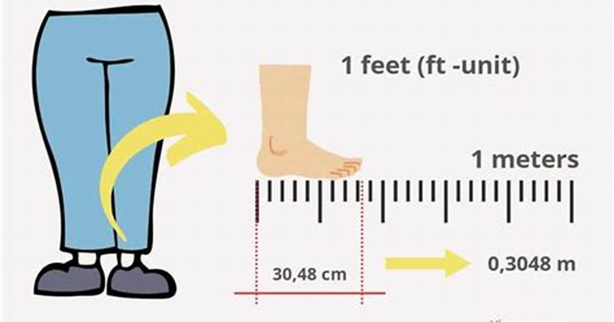 From 1 197 Feet to Meters Visualizing the Scale of Record Breaking